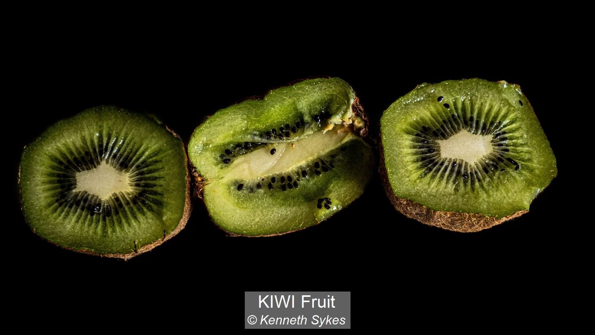 KIWI Fruit